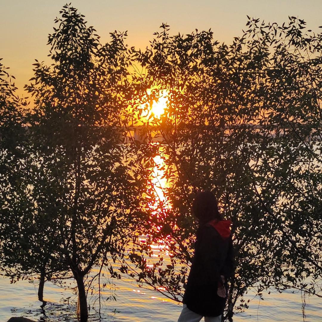 十二花令·惠惠惠