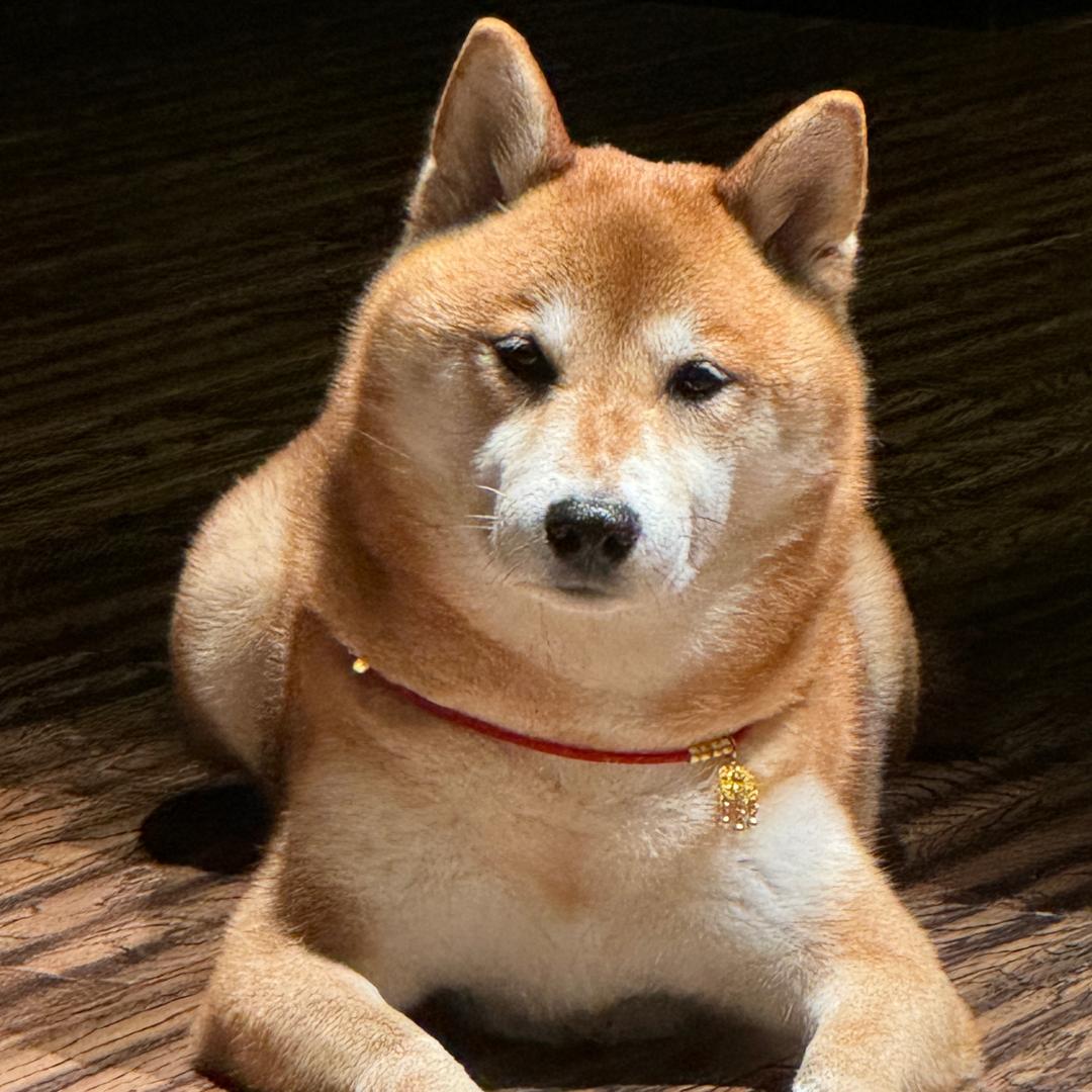 叮~