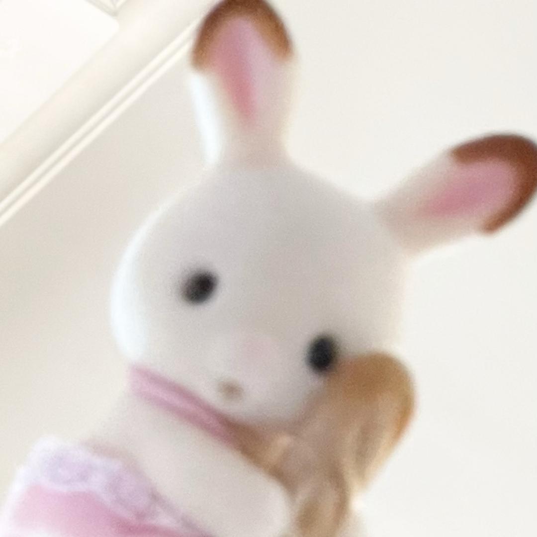 喵～