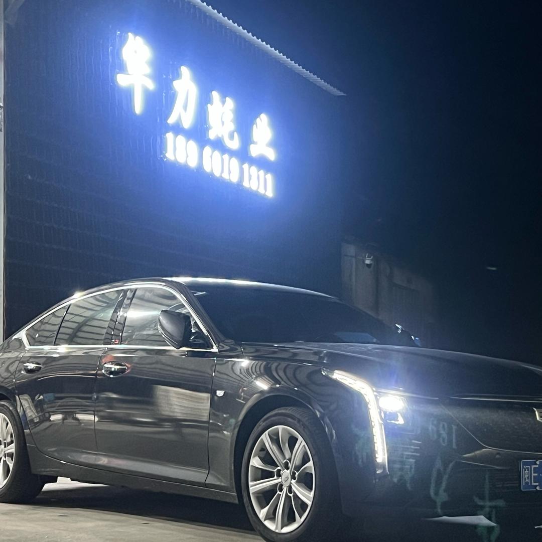 A华力生蚝批发