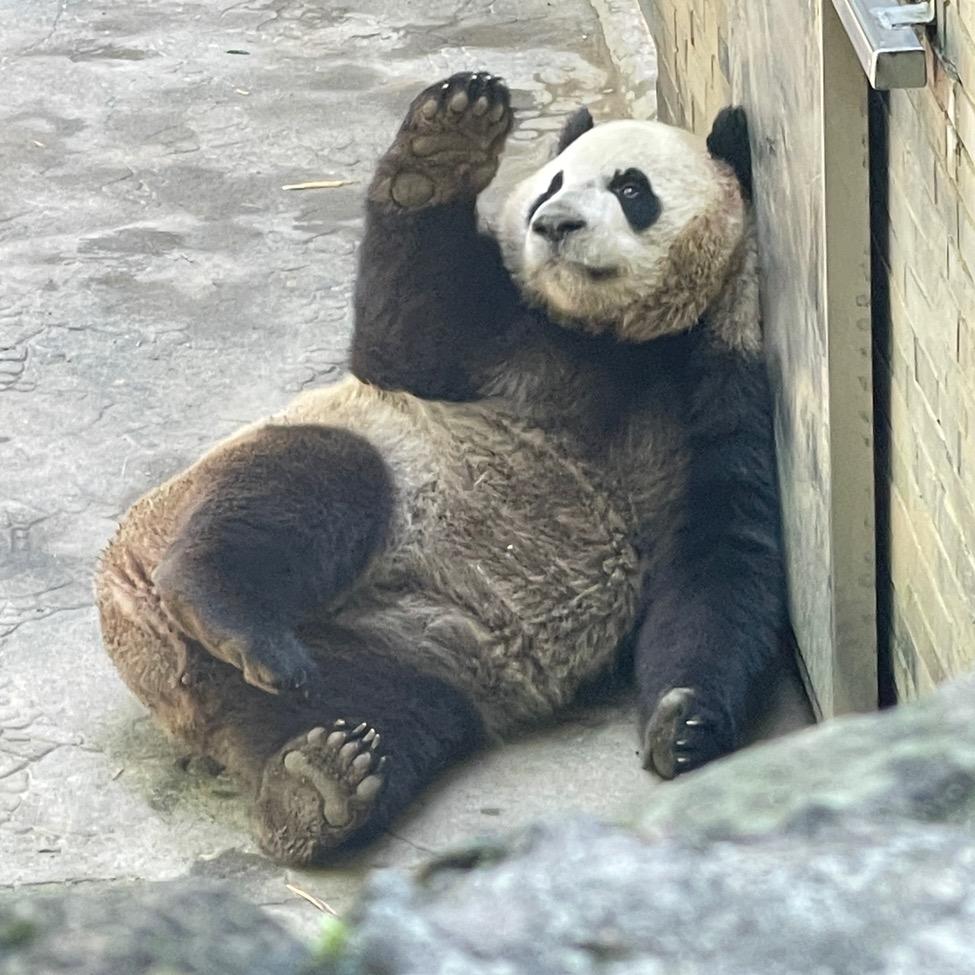 小于老师