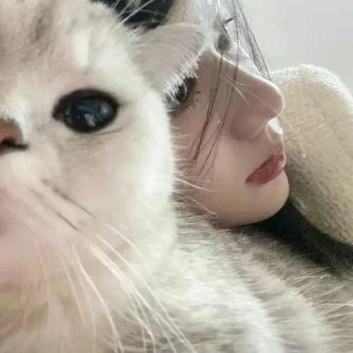 蓝藻星