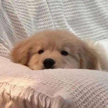 ？？！