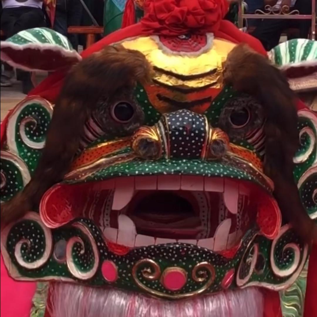 张 老尾