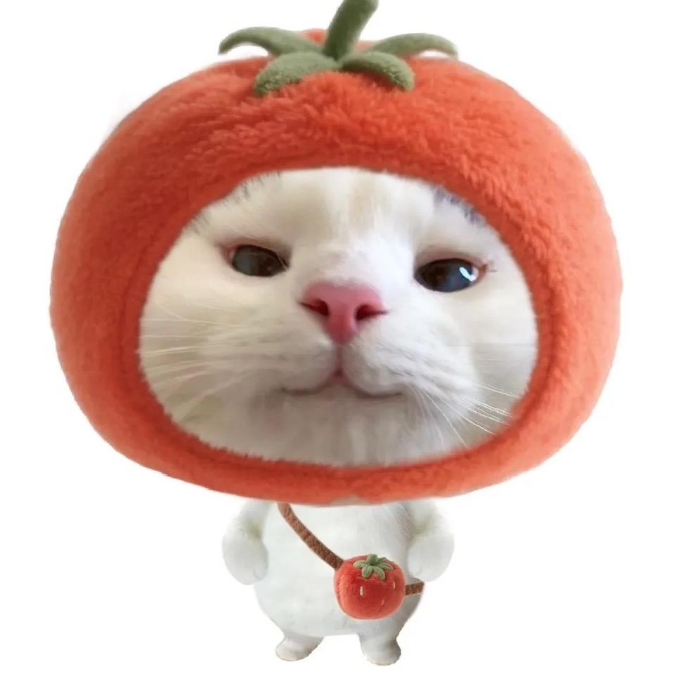 小鸢拆卡（墨家三宝害了我一辈子版）