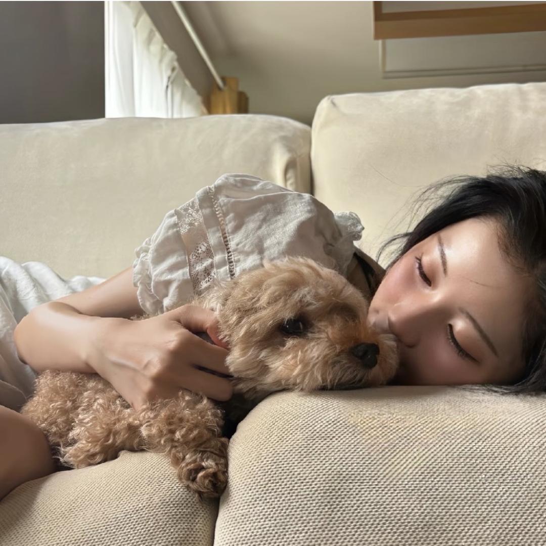 乌云小喵-