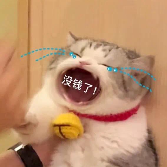 骑着蜗牛去旅行