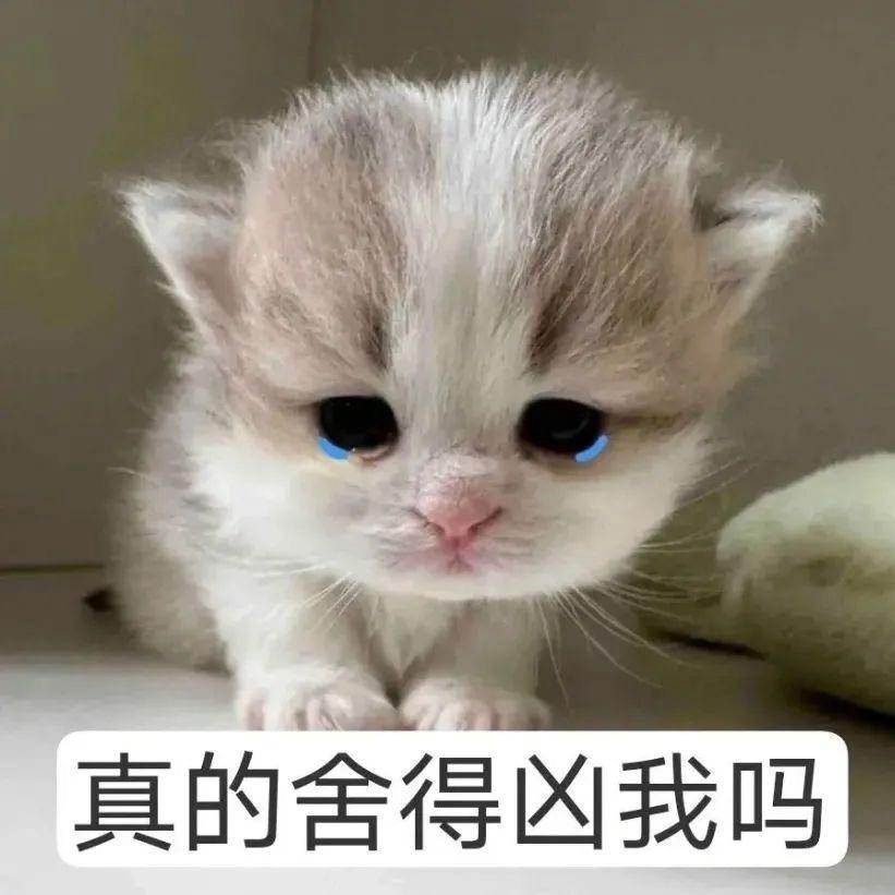 我想你 你想我吗