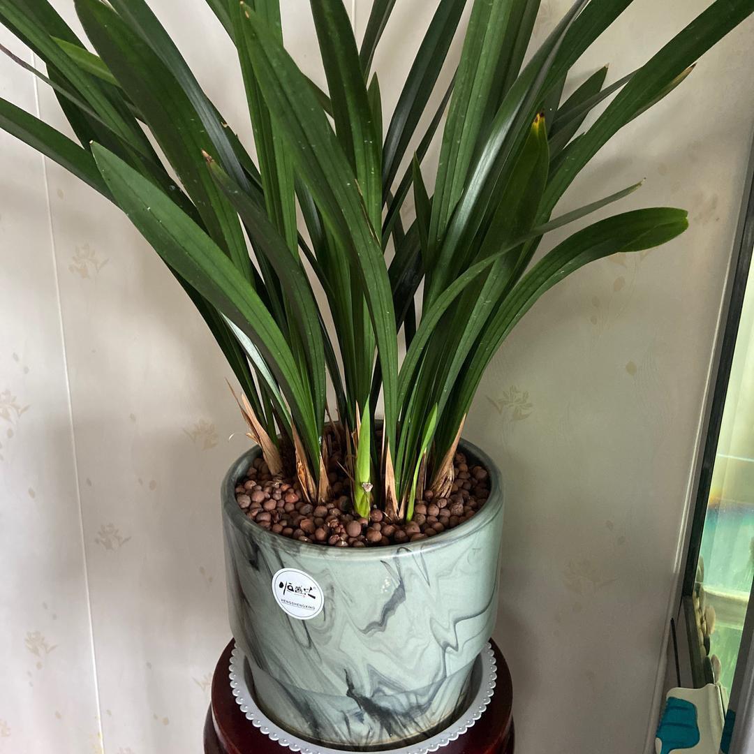 等你等了那么久！！！！！！！