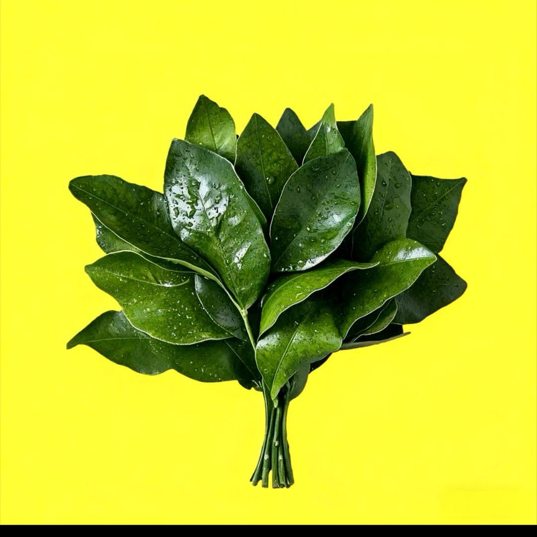 定州房产     小解