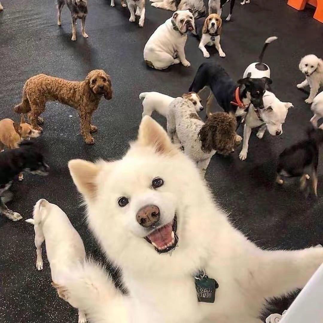 YY.