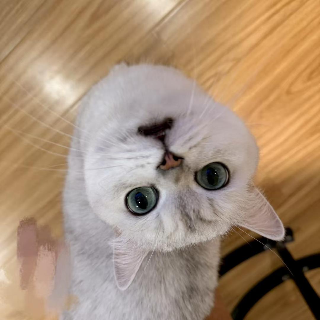 Bulingbuling