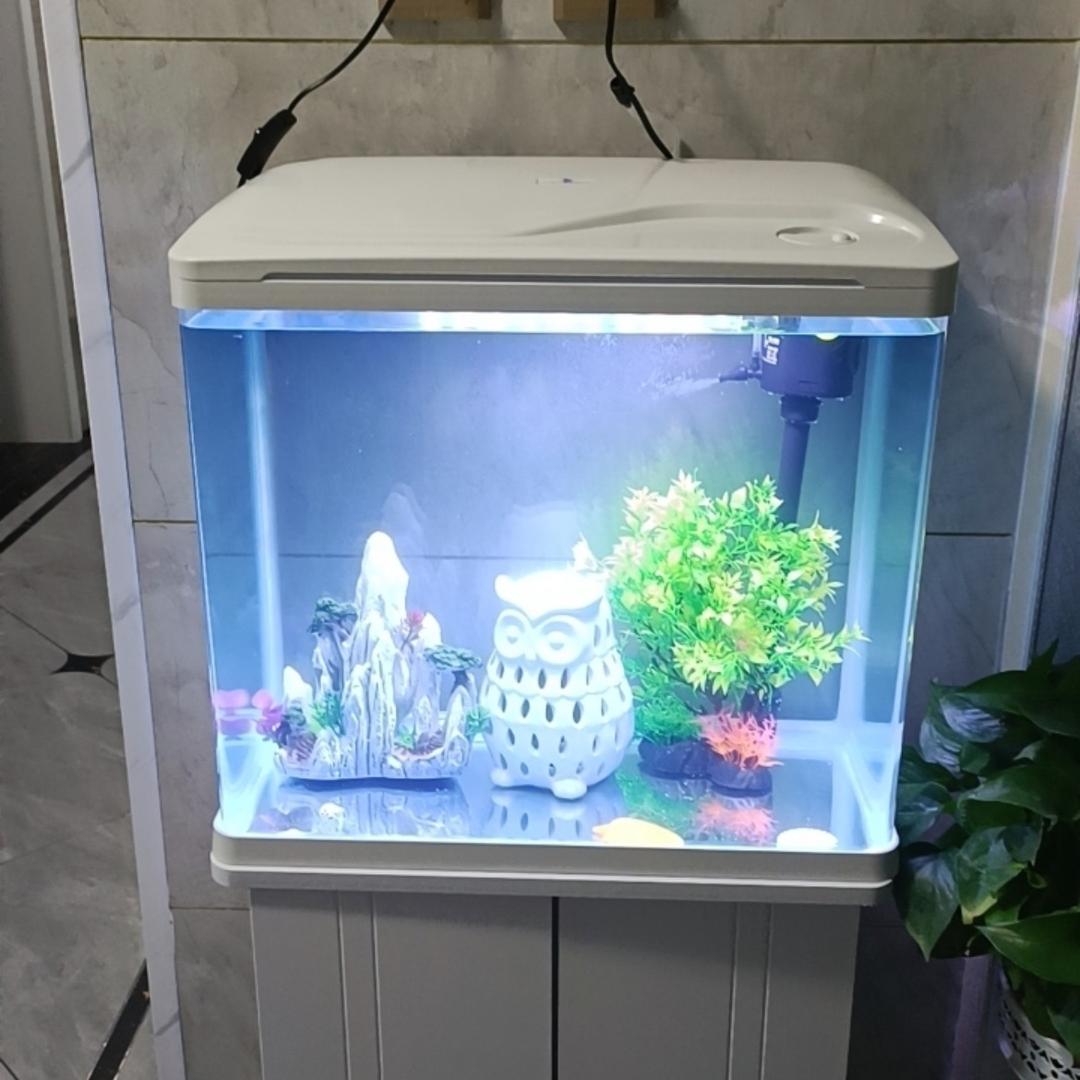 鱼缸店
