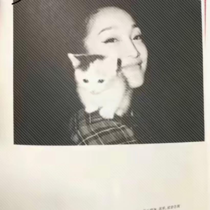 七ㅤ