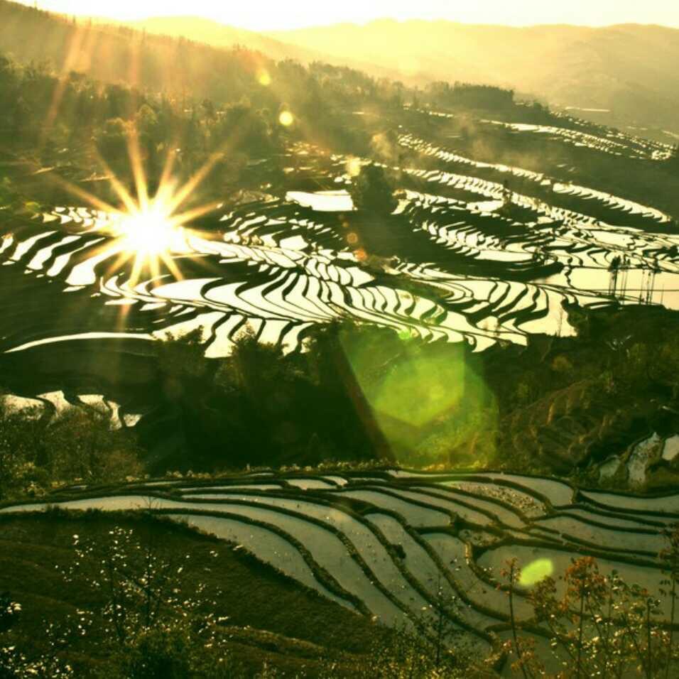依恩