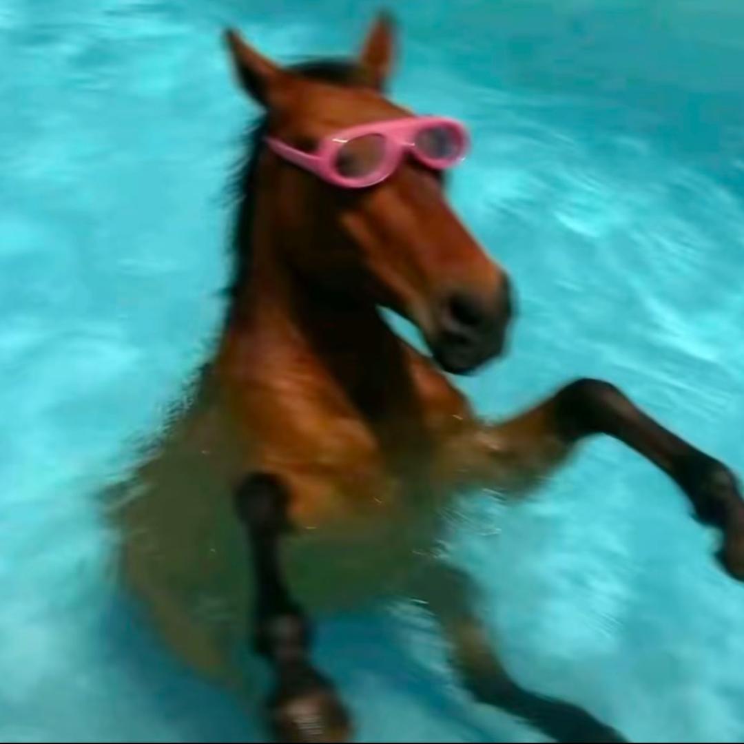 CC66（见过哥酱版）