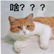 身身🌱