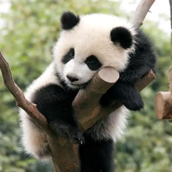 诗和远方
