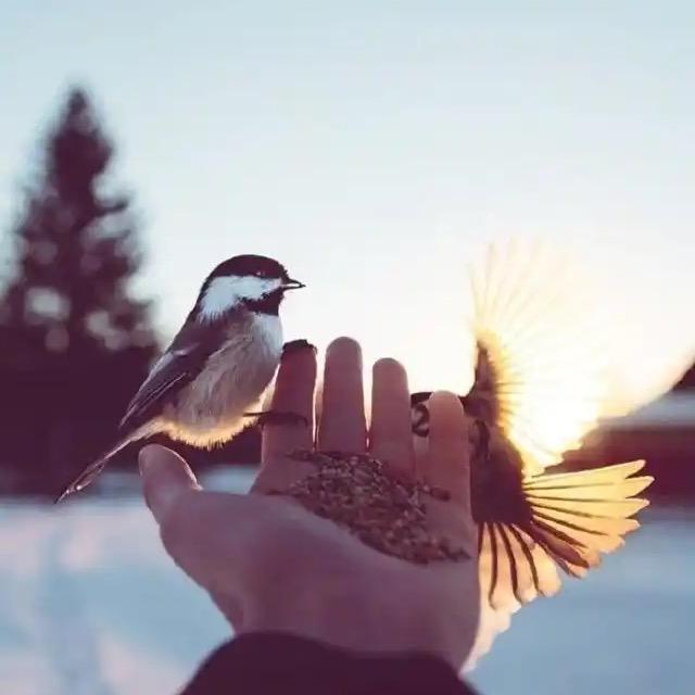 阳光正好、何不微笑