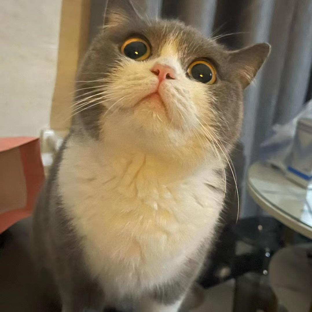 用户768888866