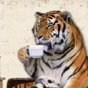 瓮安县美智微超无人便利店