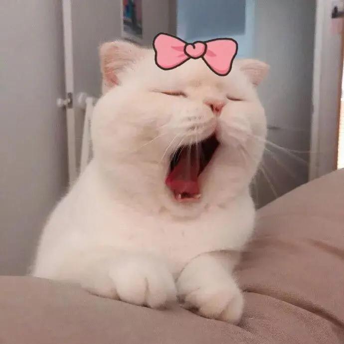 小青分享🍭