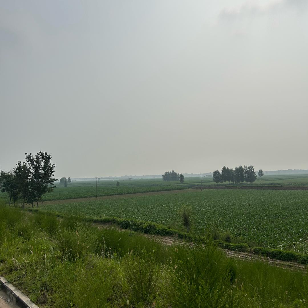 李美栗（美丽）