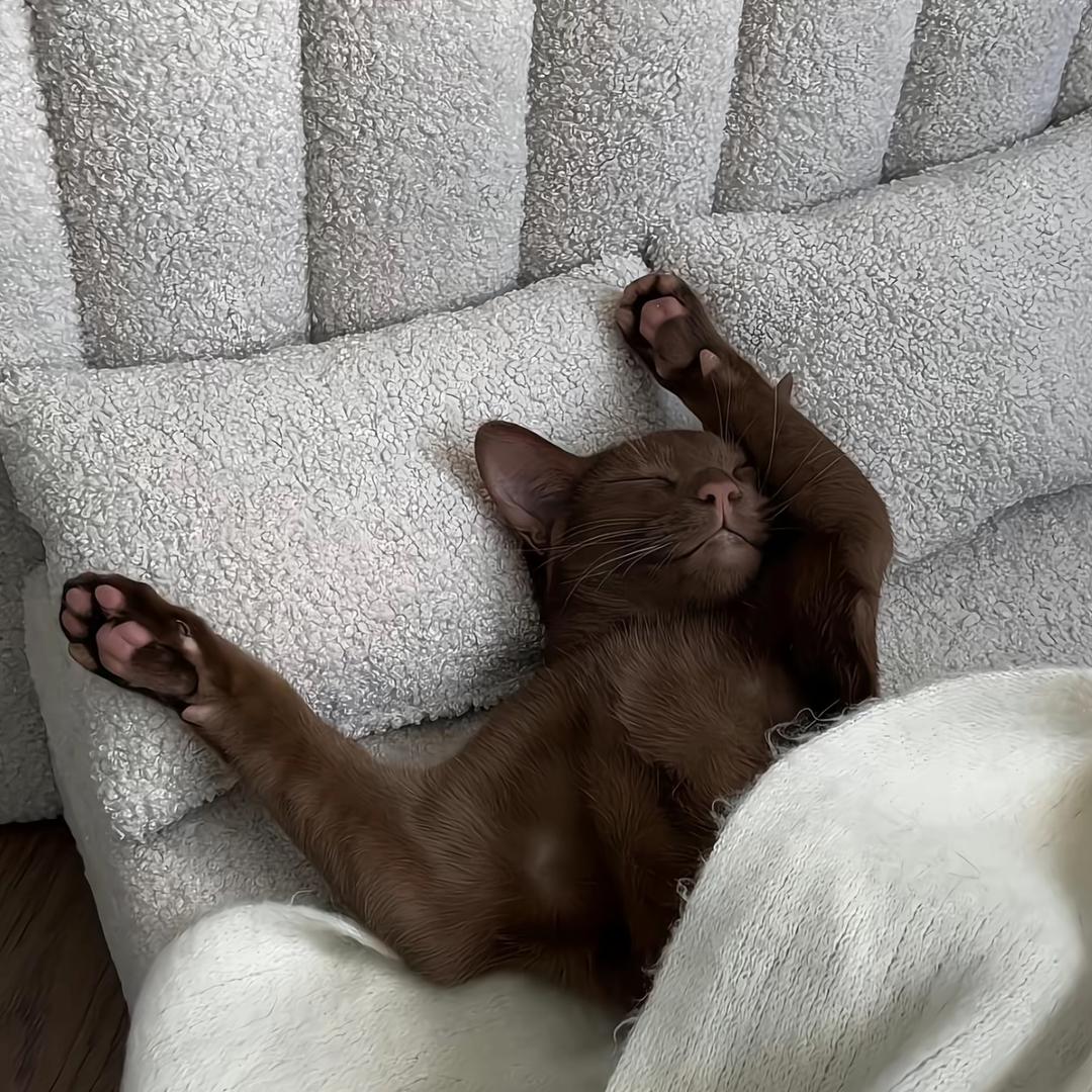 左脚踩右脚起飞.