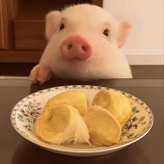 我不饿.