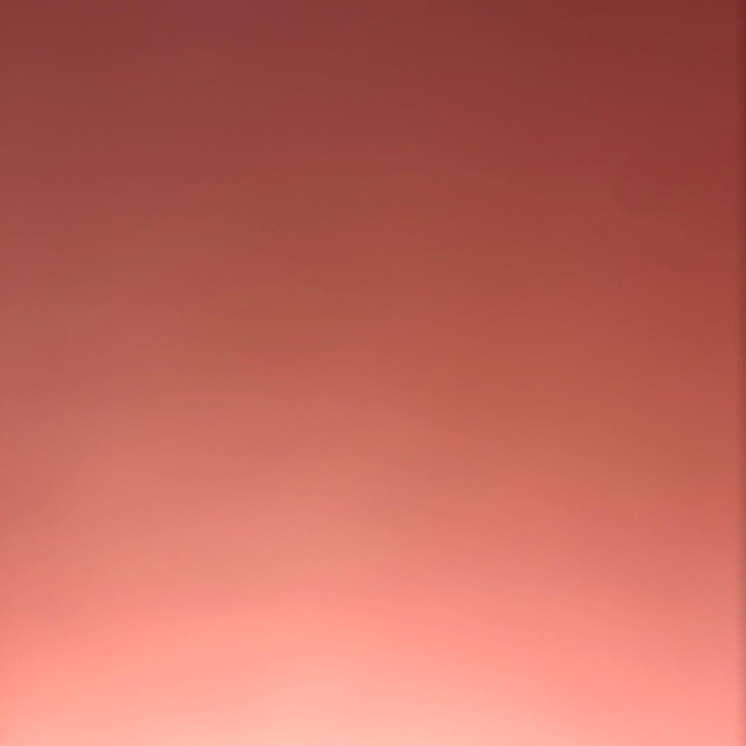 小麻子