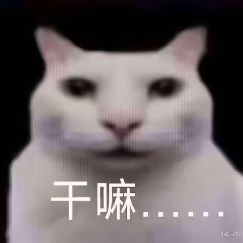 喜欢给丑的点赞