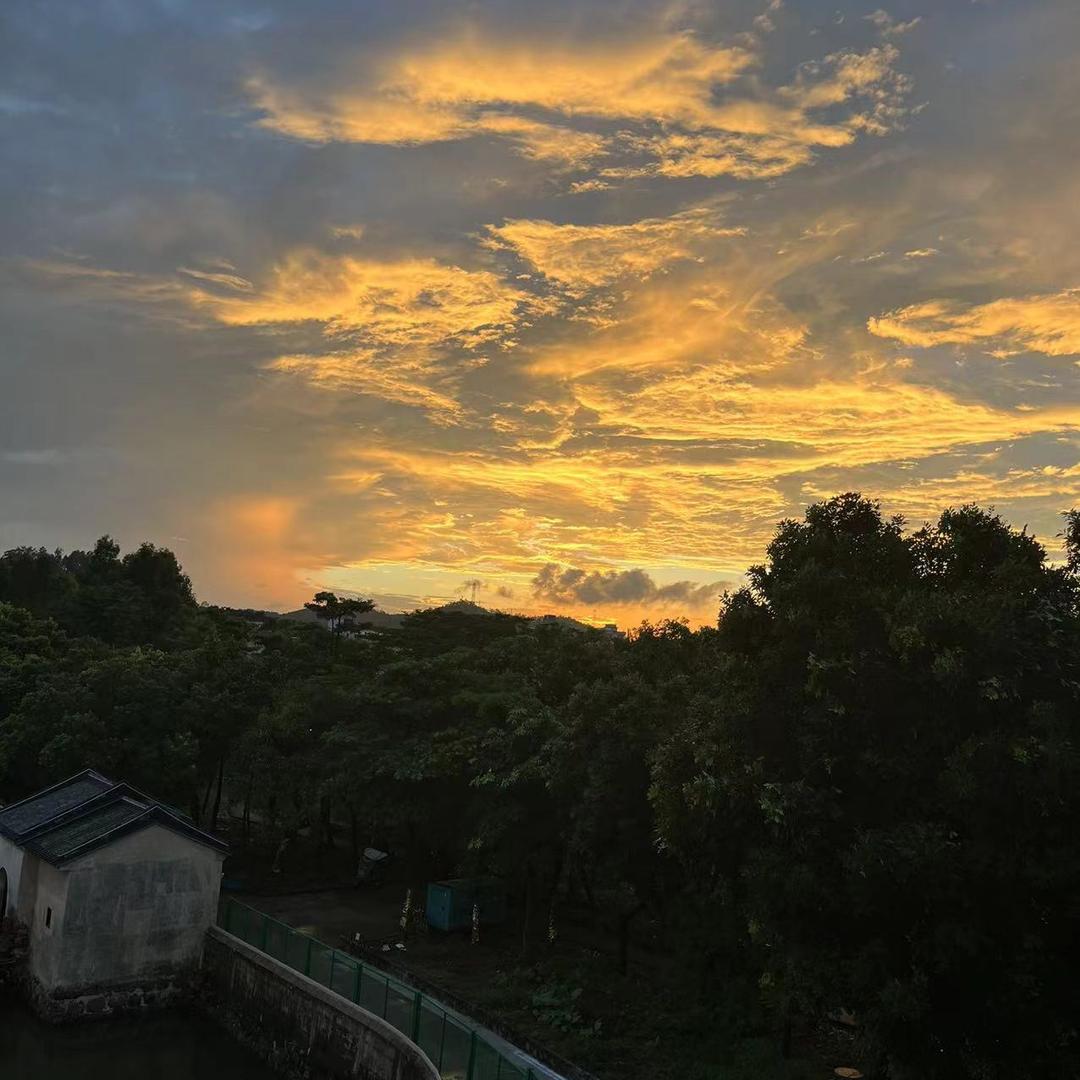 今夕何夕（雷霆战机）