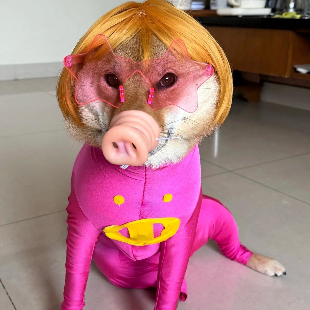 大黄豆丫头的日记