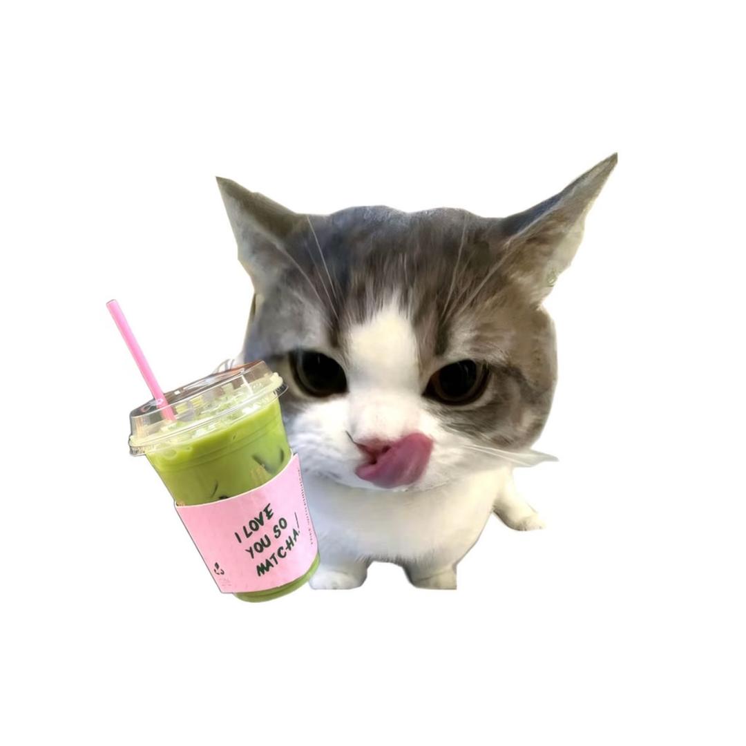 小鱼米需米需🐟