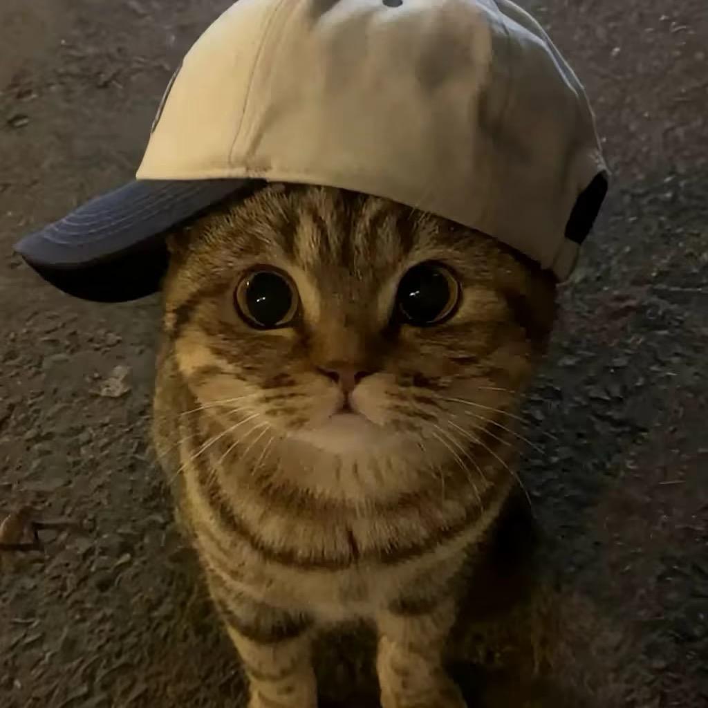 y  .