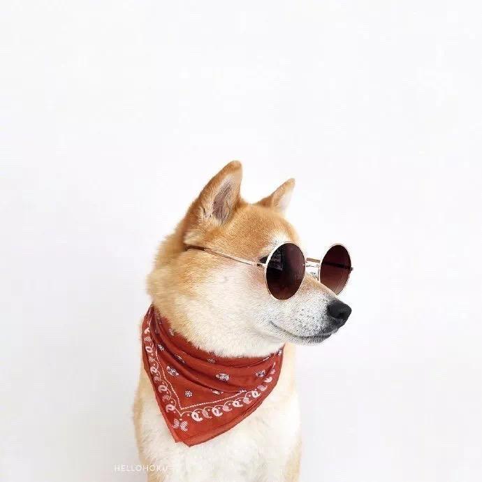 爱吃火鸡面（永恒之塔2）