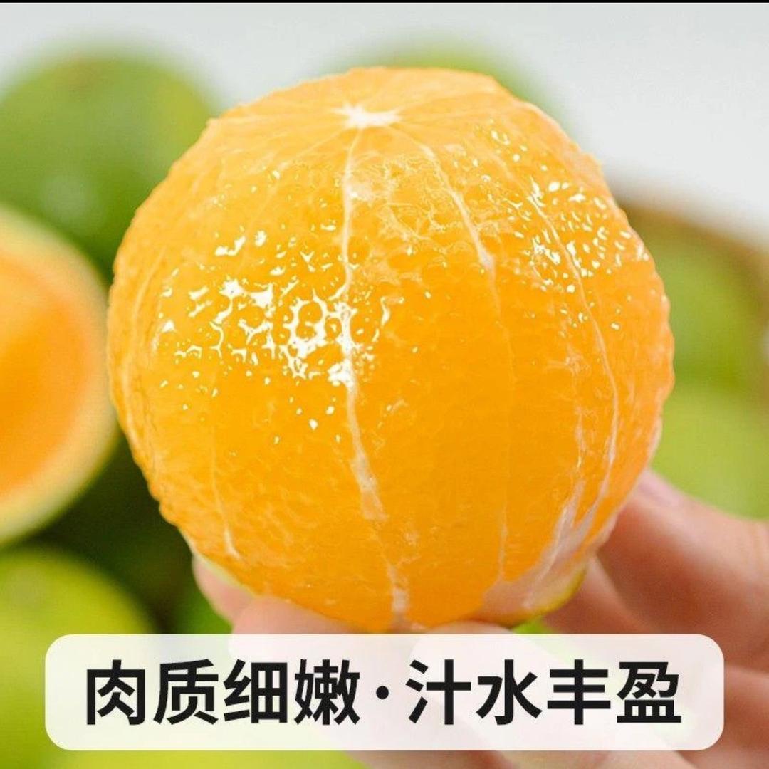 哀牢山的橙子🍊