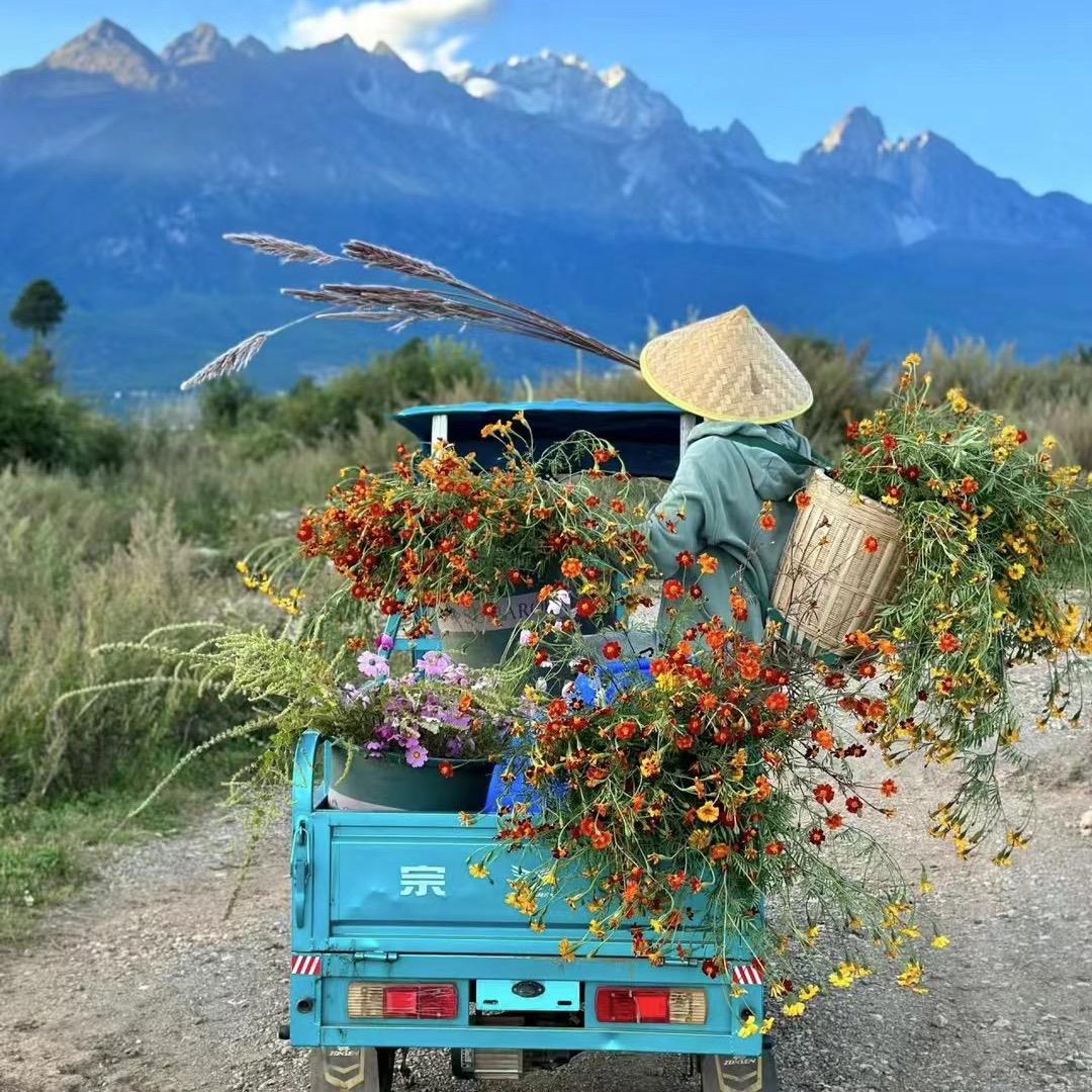钟琦💐