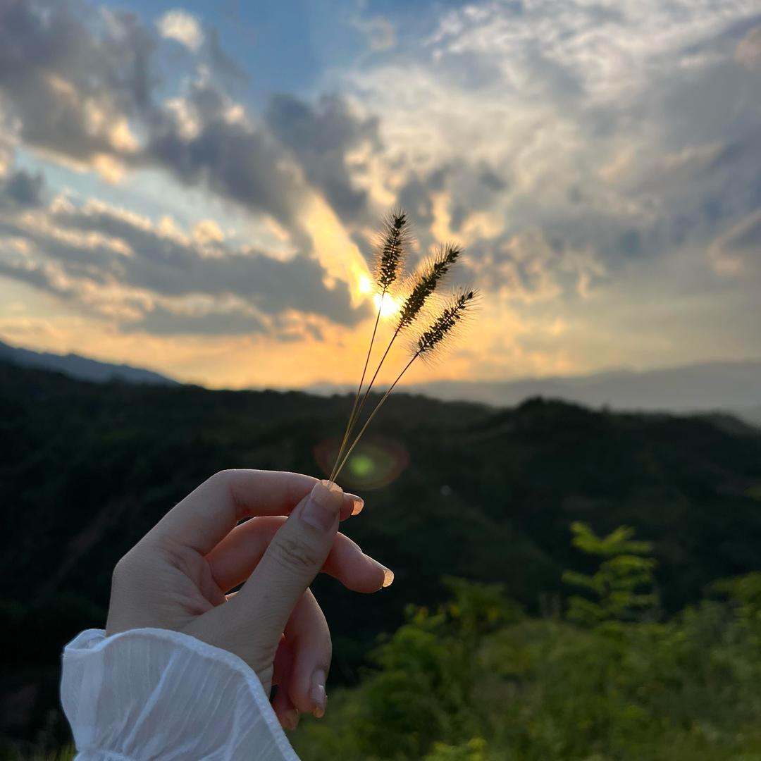 小可