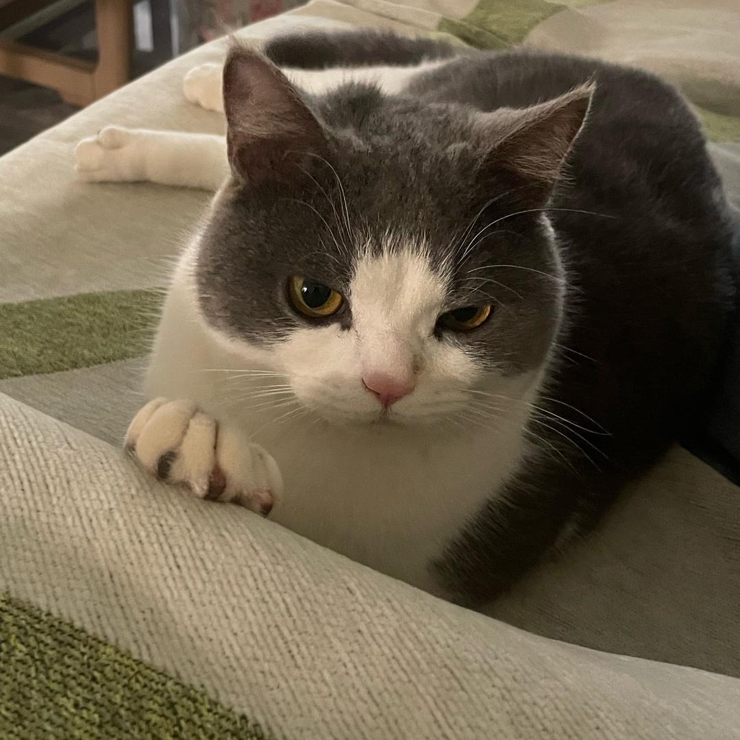 哎呀老板没虾呀