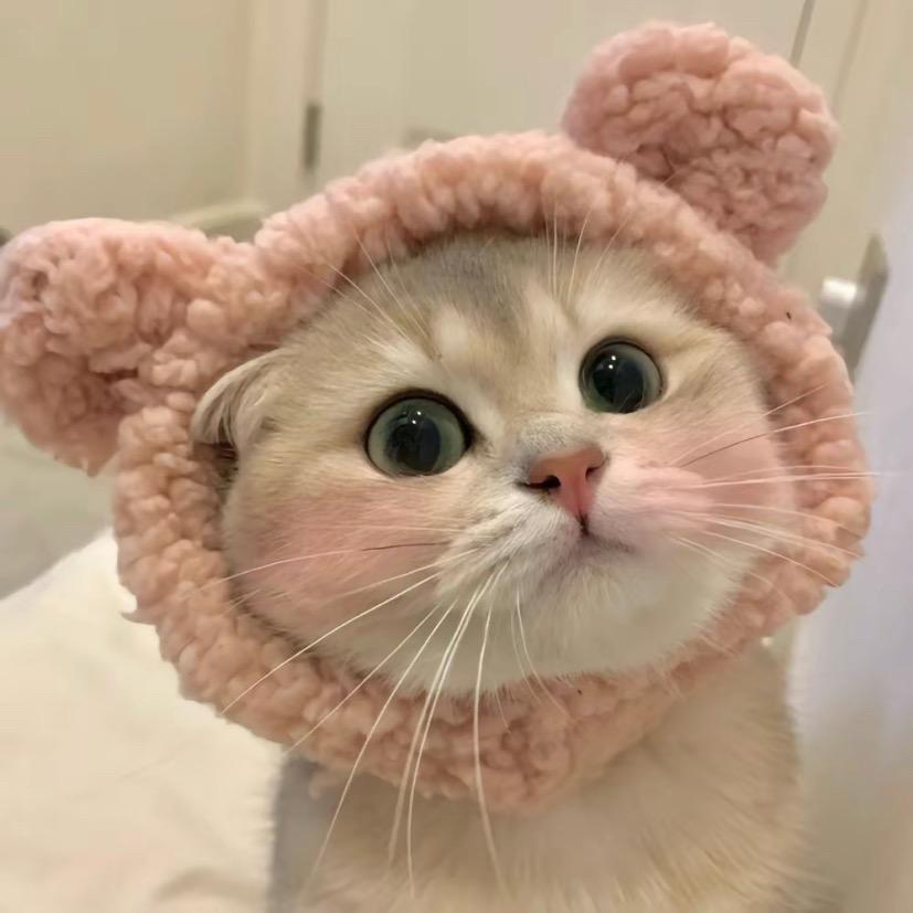小鱼