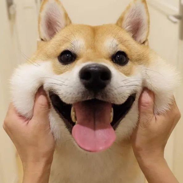 张有墨