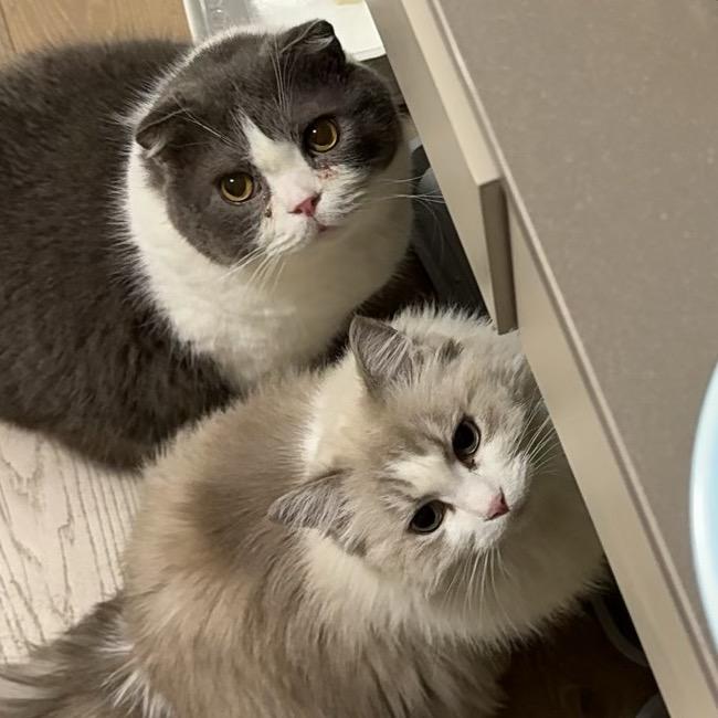 八卦街道办临聘人员