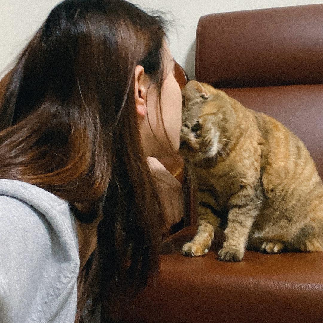 鼻涕小猫叫灯泡
