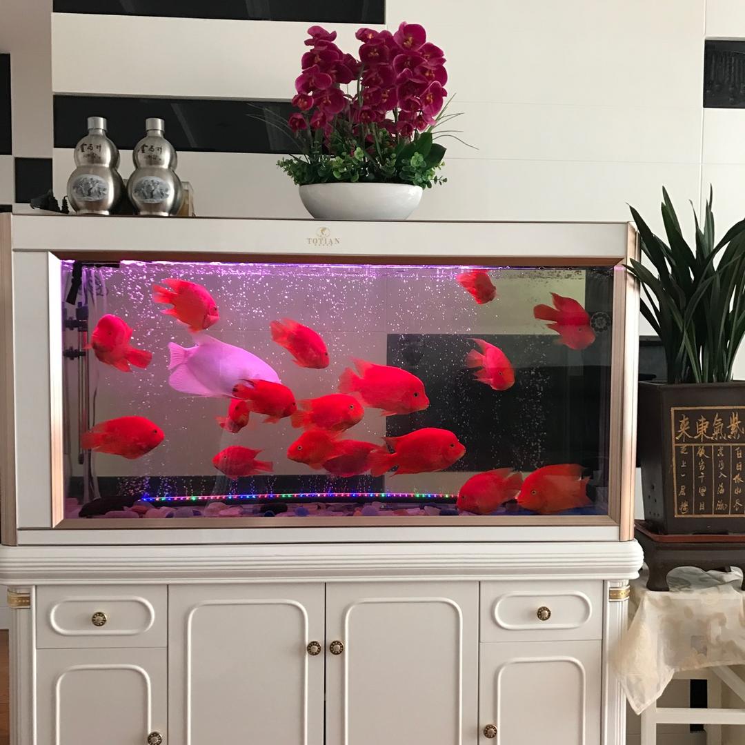 随缘…