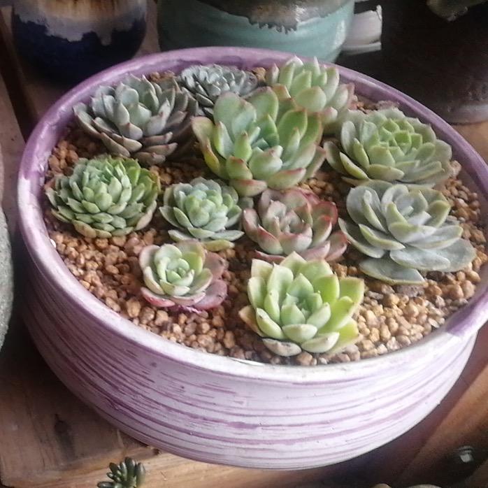 用户864837岁月静好