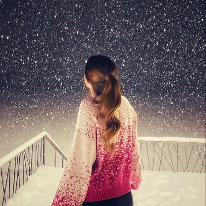 一朵风中摇曳的大呲花