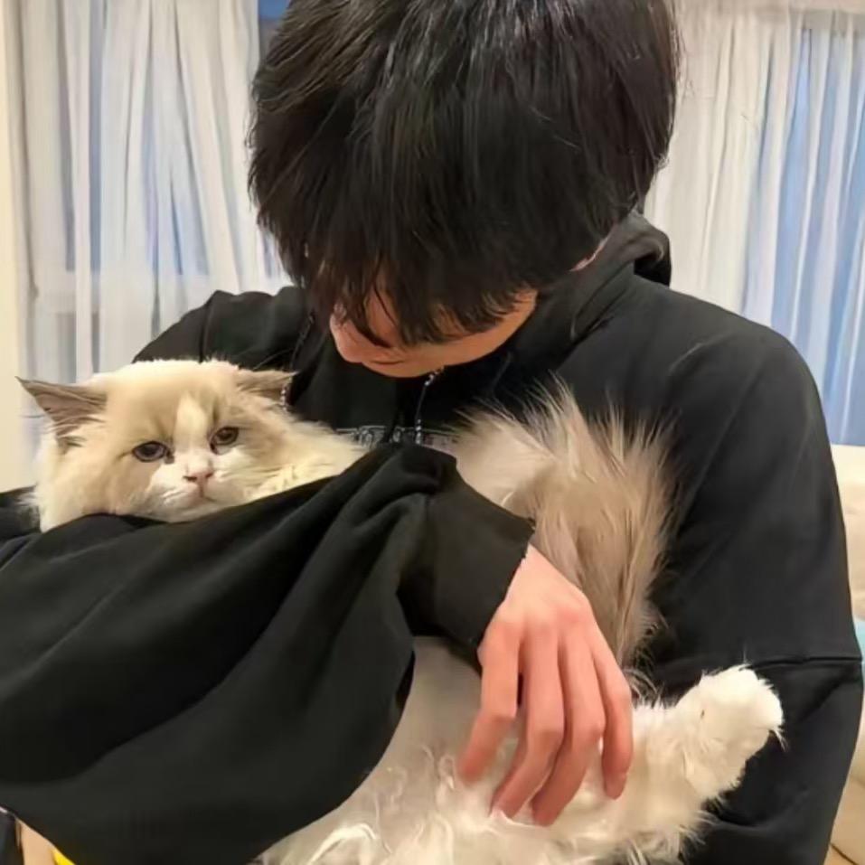 🐶…