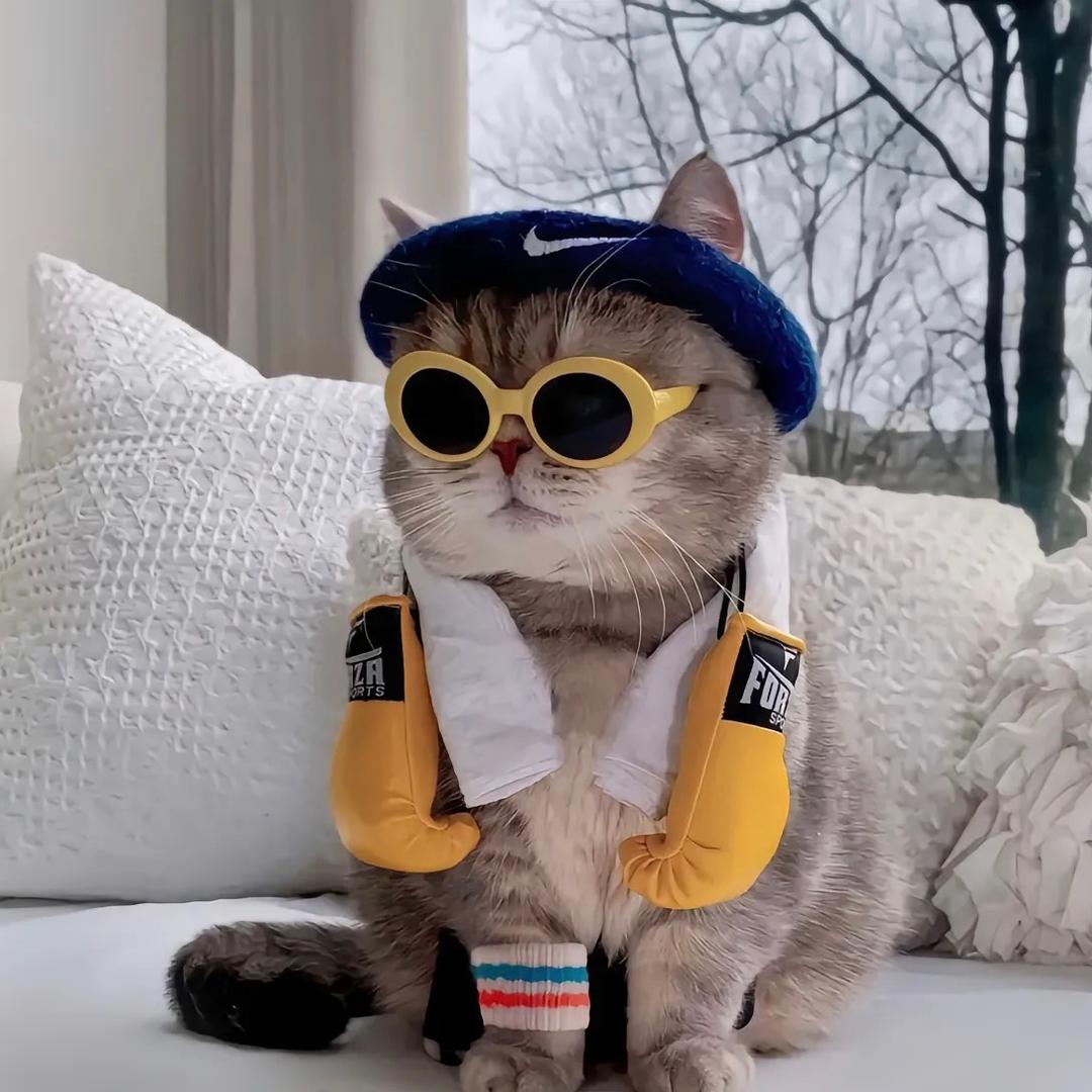 宠物当家用品厂