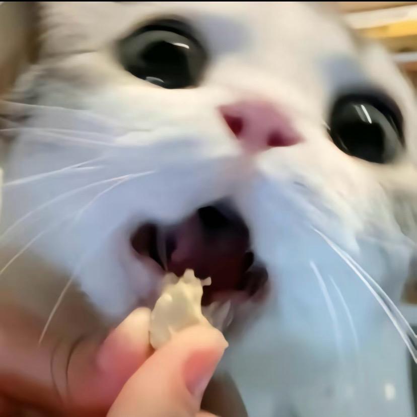 左右